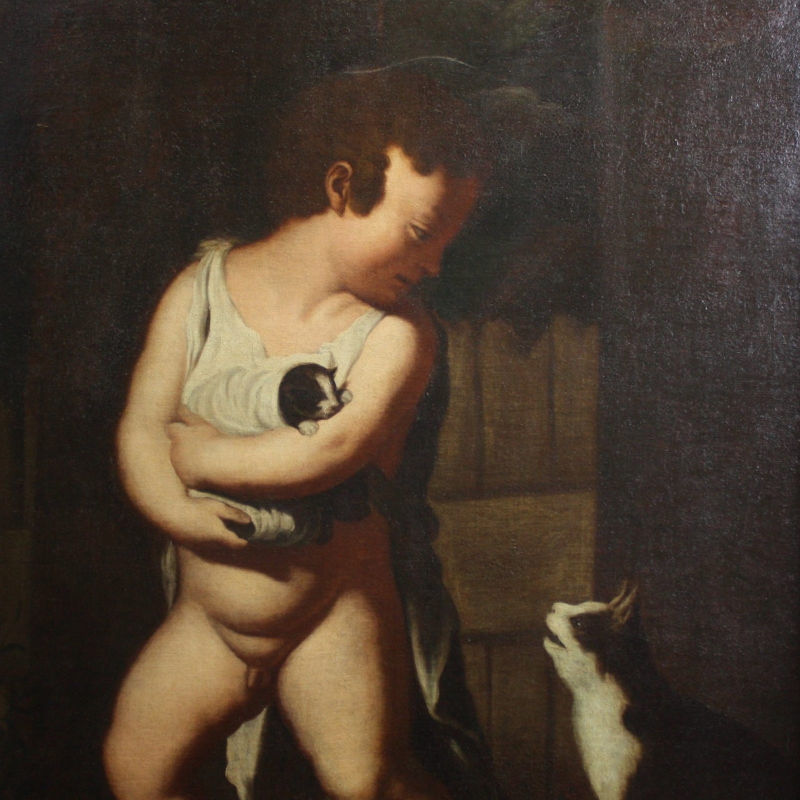 Child with Cats